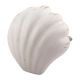 White Sea Shell Ceramic Drawer Knob